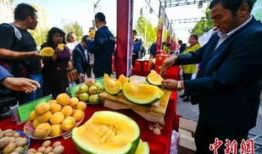 吃瓜最新事件爆料定州,揭秘吃瓜群众最新热议事件